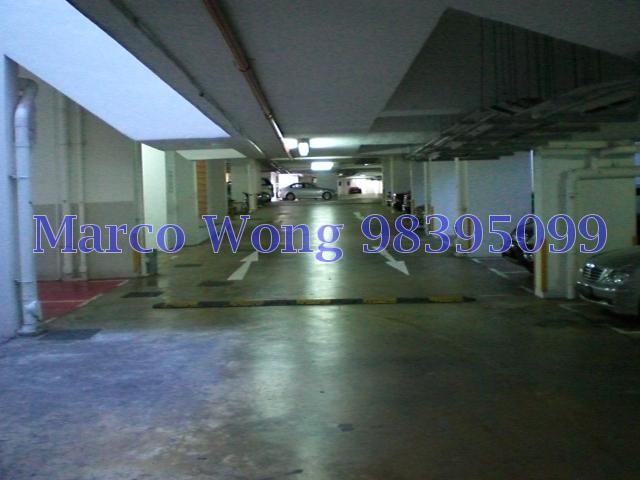 Holland Peak (D10), Condominium #85483092